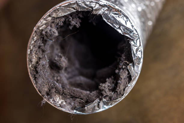 Best Professional Duct Cleaning Services  in Rancho Mission Viejo, CA